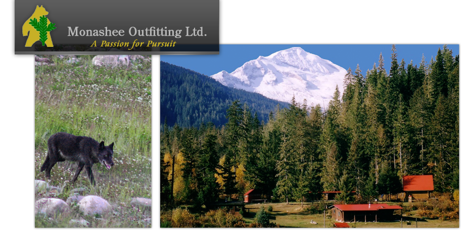 Monashee Outfitting Ltd.  - Contact